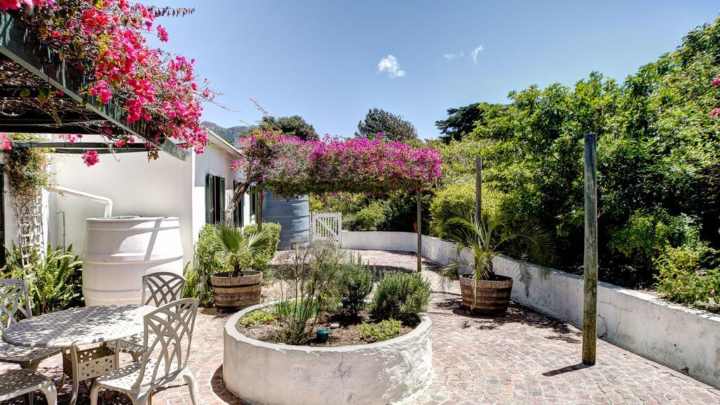 Little Paradise Noordhoek Exterior photo